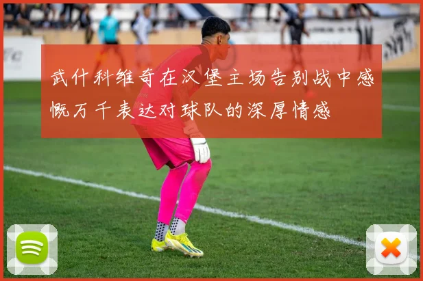 武什科维奇在汉堡主场告别战中感慨万千表达对球队的深厚情感